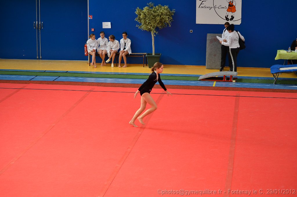 DSC_8714.JPG