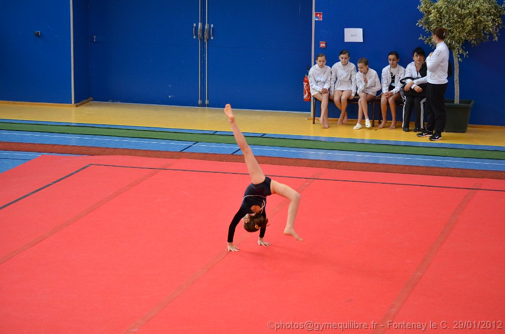 DSC_8751.JPG