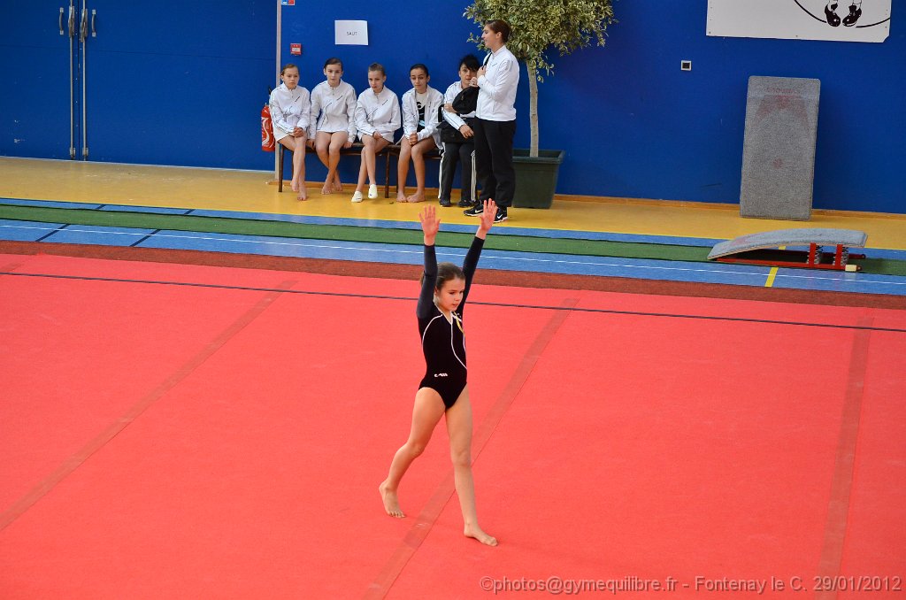 DSC_8753.JPG