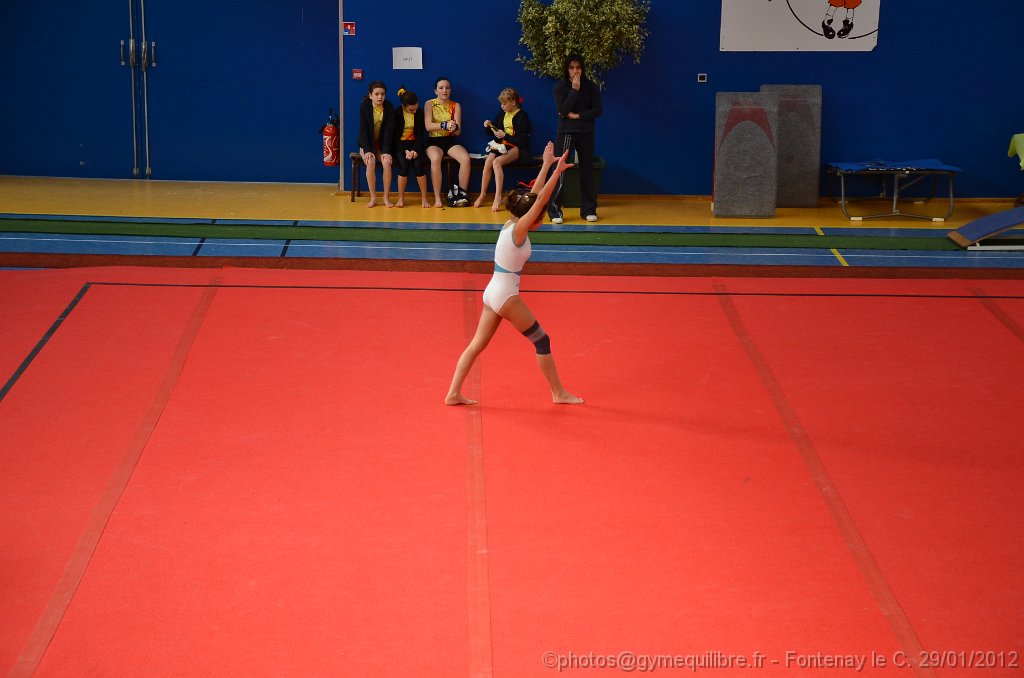 DSC_8853.JPG