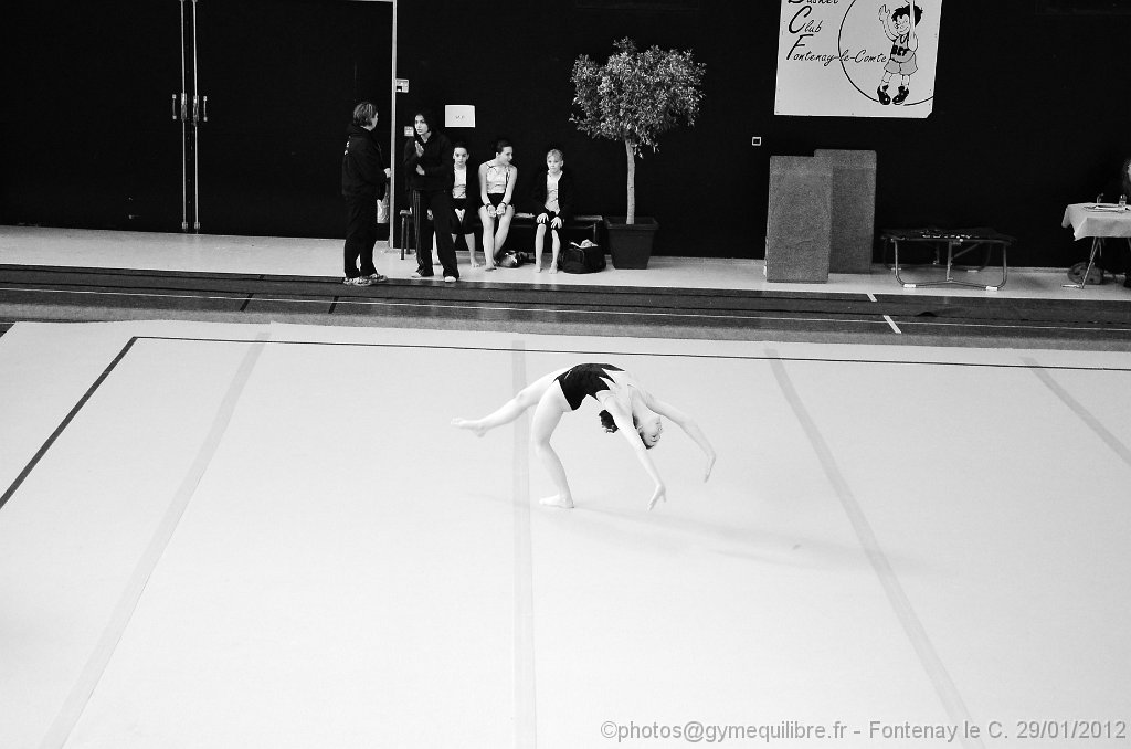 DSC_8857.JPG