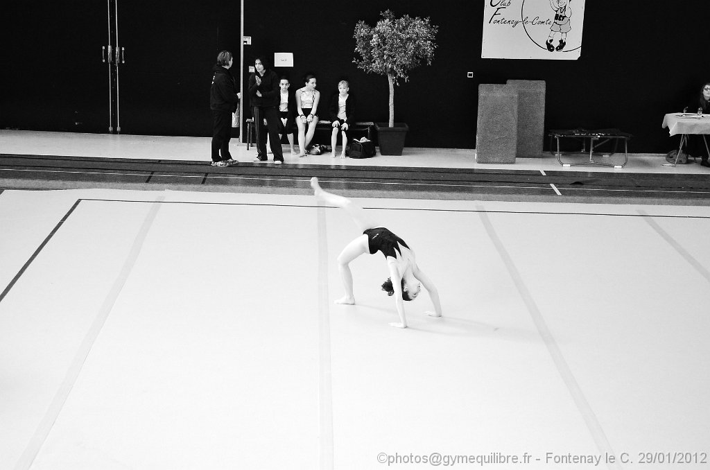 DSC_8858.JPG
