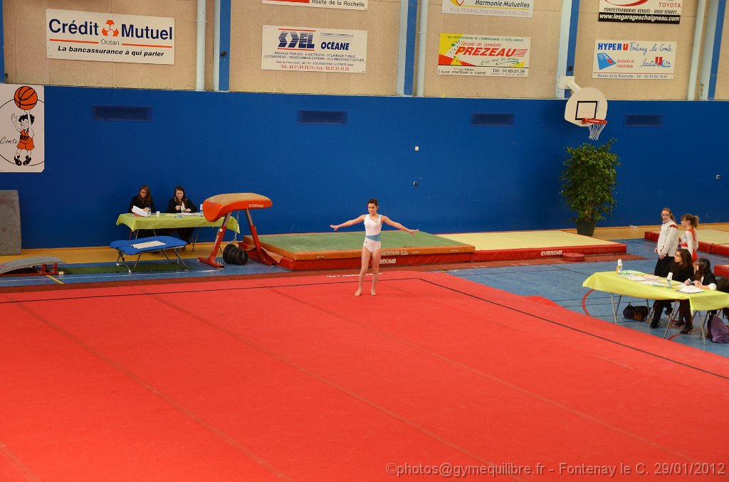 DSC_8987.JPG
