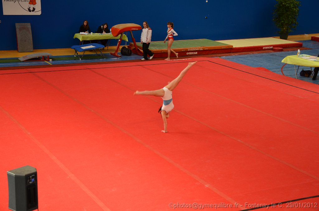 DSC_8989.JPG