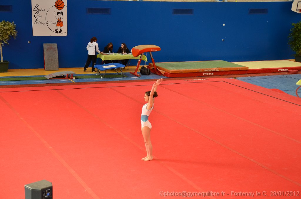 DSC_8996.JPG