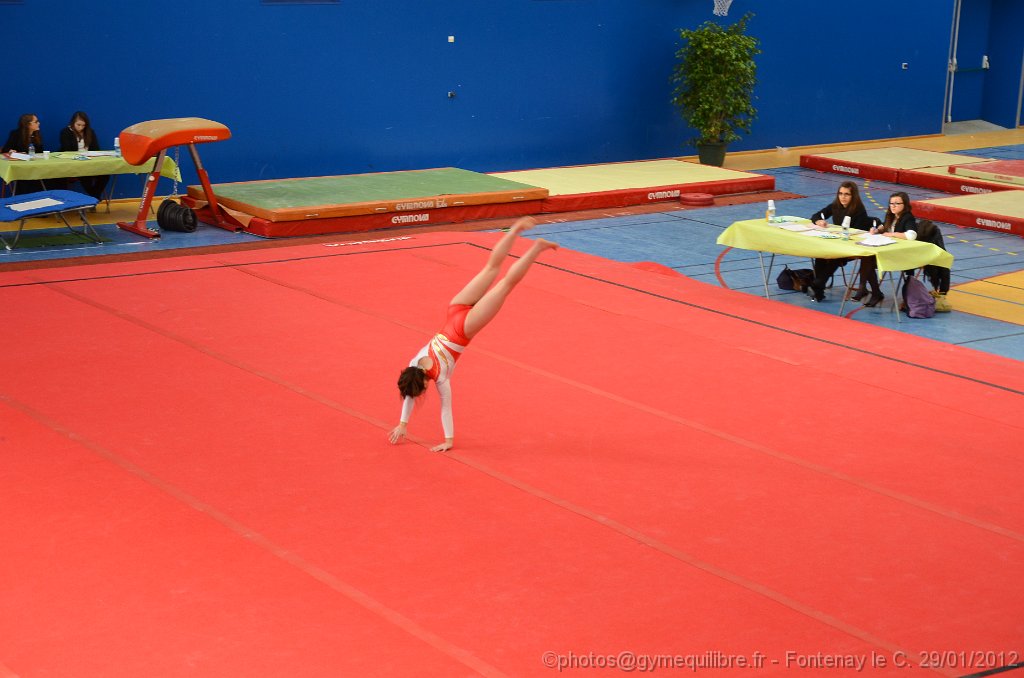 DSC_9056.JPG