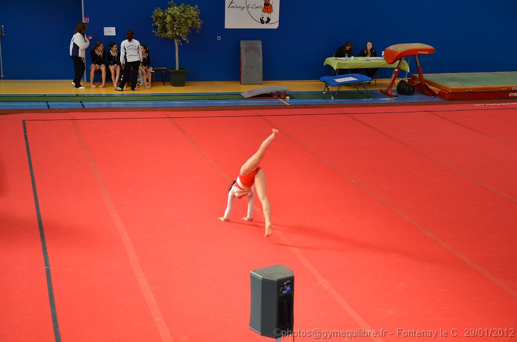 DSC_9068.JPG