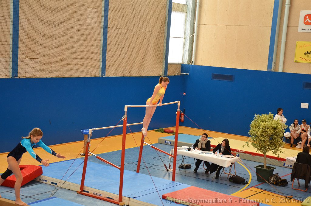 DSC_9145.JPG