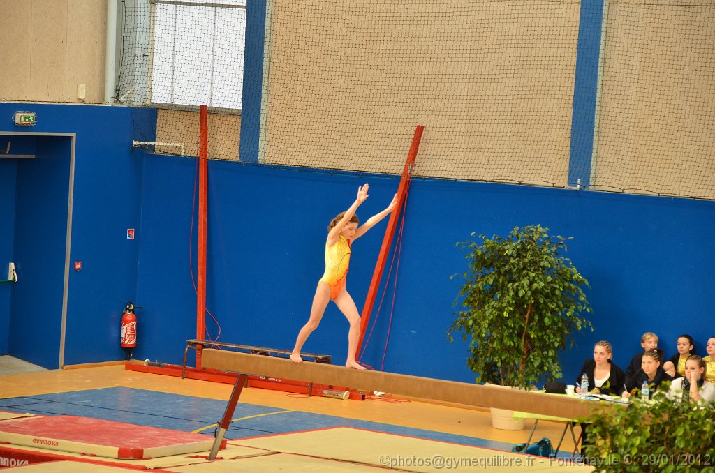 DSC_9213.JPG