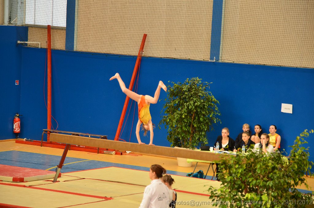 DSC_9214.JPG