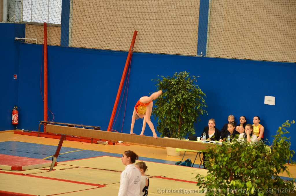 DSC_9215.JPG