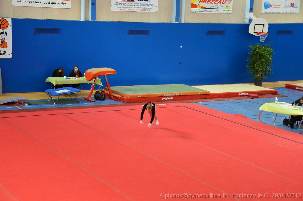 DSC_9235.JPG
