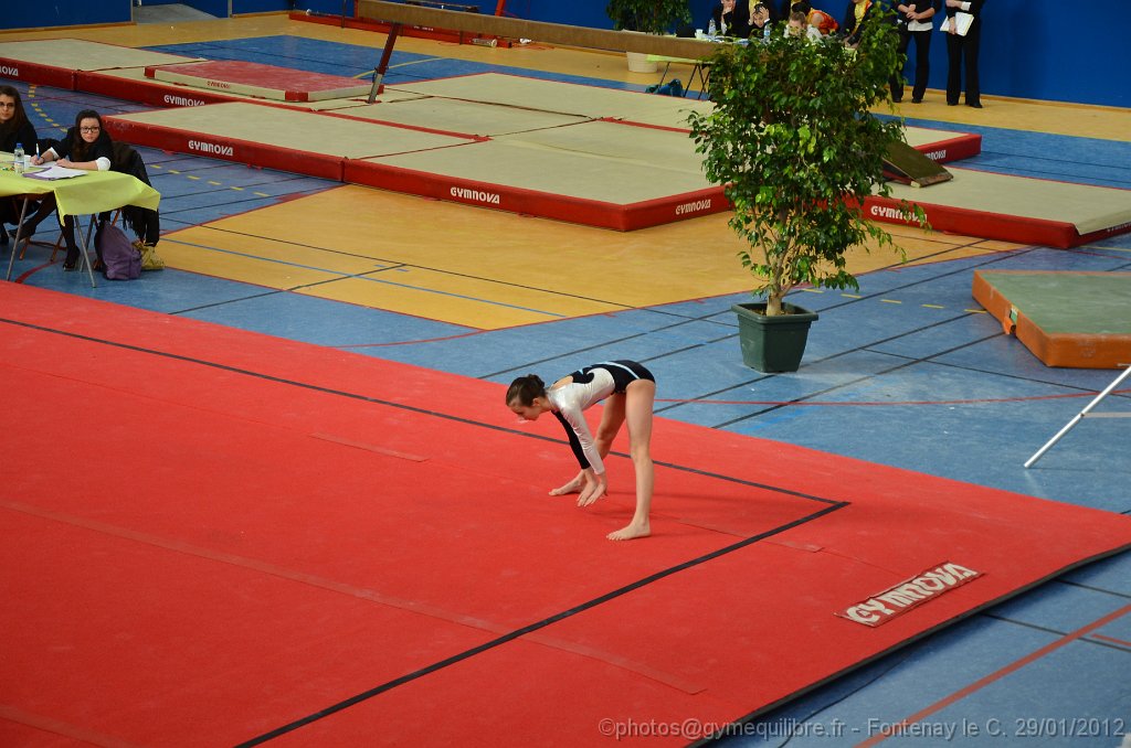 DSC_9265.JPG