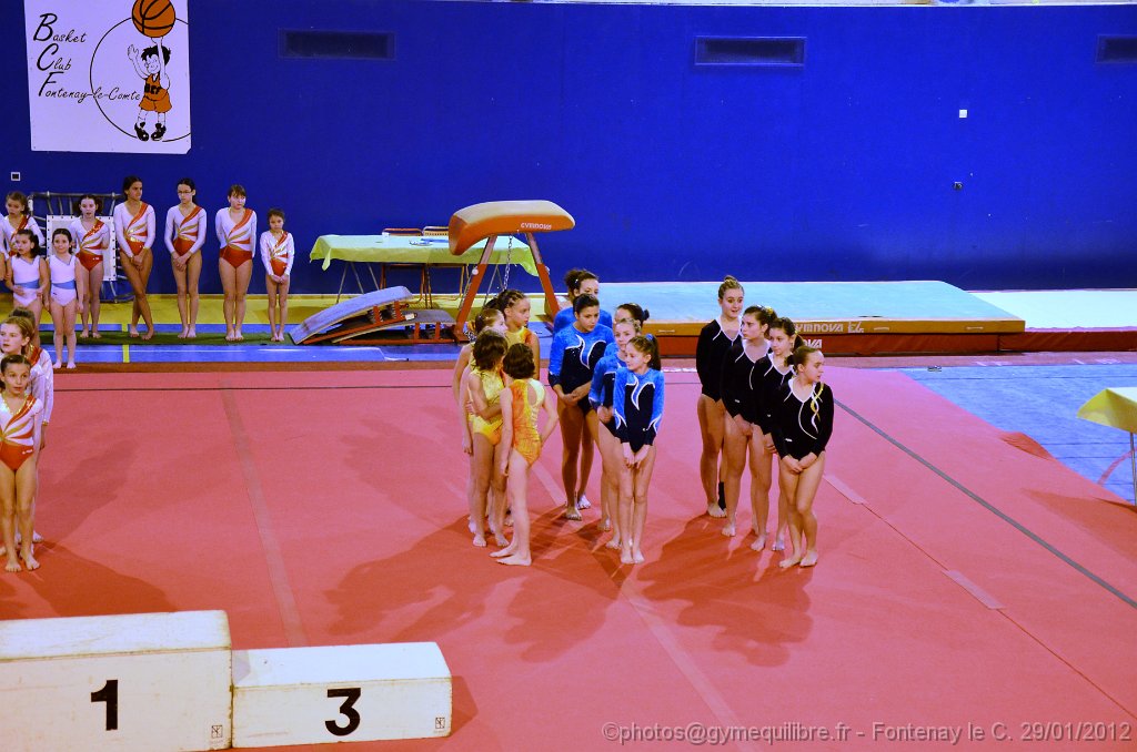 DSC_0310b.jpg
