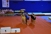 DSC_0308b