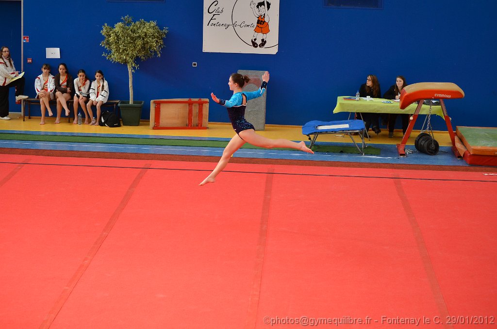 DSC_8567.JPG