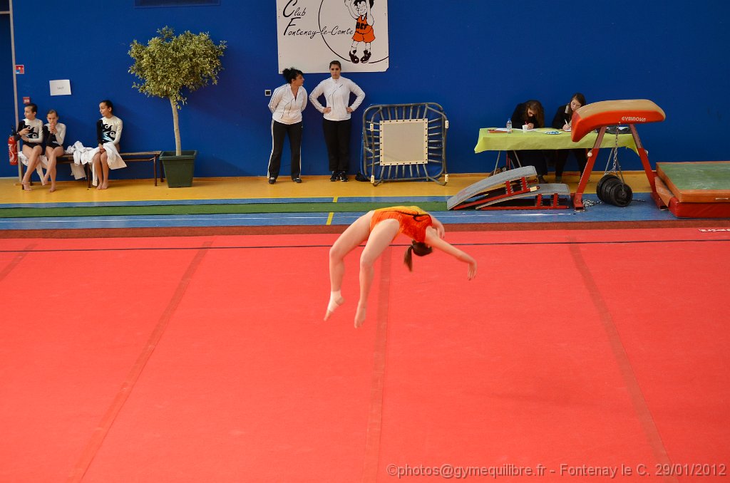 DSC_8649.JPG